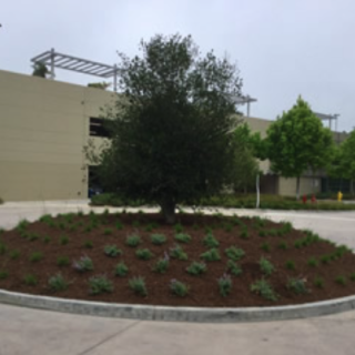 Landscape Installation